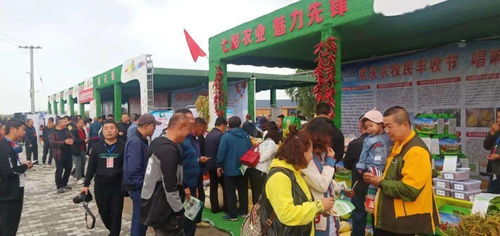 烏拉特前旗第三屆中國農民豐收節慶祝活動食品銷售盛況