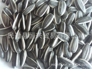 民勤縣東湖易發(fā)農(nóng)副產(chǎn)品購(gòu)銷站 優(yōu)質(zhì)食品銷售新選擇