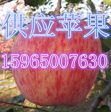 莒縣傲翔農(nóng)副產(chǎn)品購(gòu)銷處 優(yōu)質(zhì)食品銷售的卓越典范