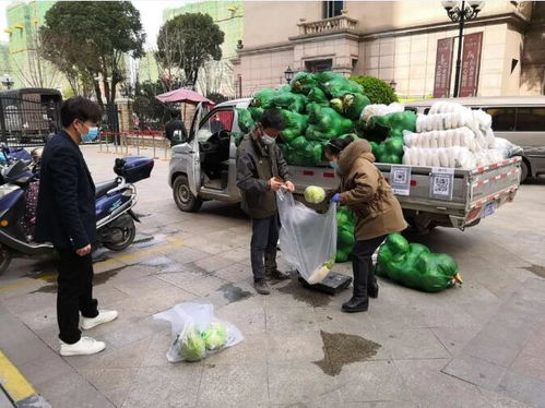 荊州區郢城鎮 農副產品直銷進小區，打造家門口的“菜籃子”