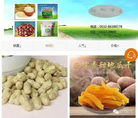 歲末年初砥礪前行 田莊鎮電商發展助力農副產品銷售