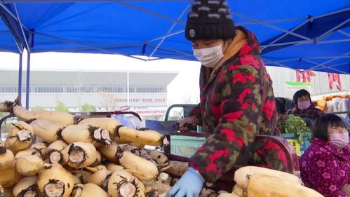 滯銷農副產品直銷進城 新鮮便宜還放心，市民農戶雙贏新探索